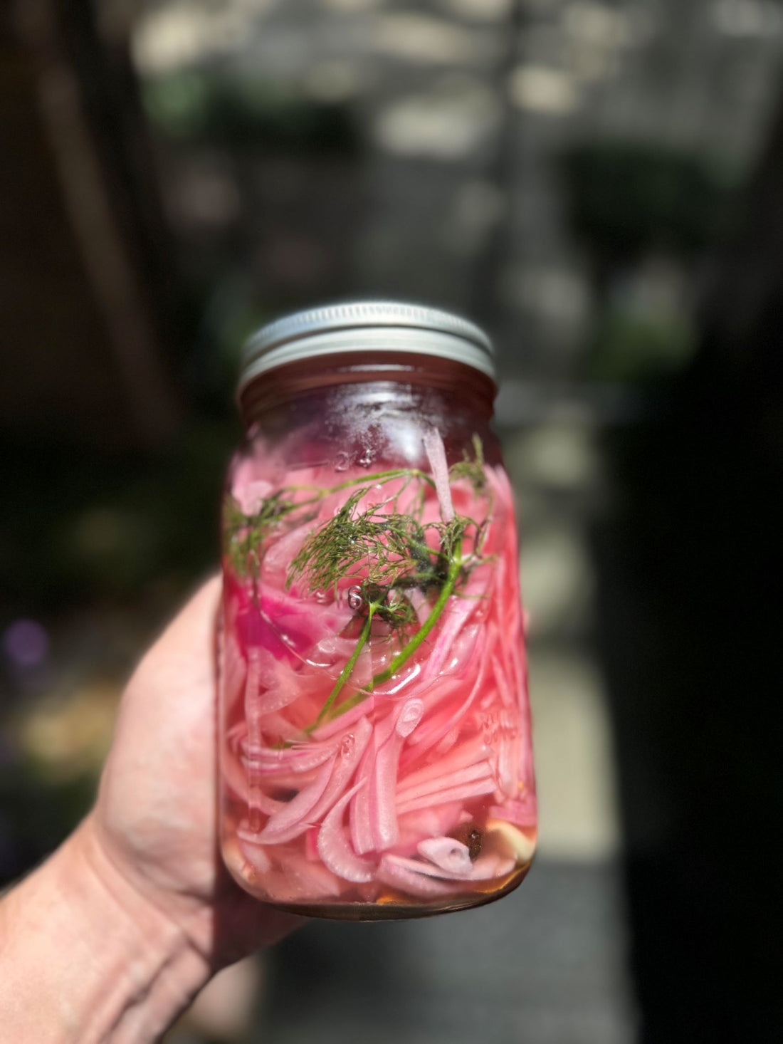 Pickled Red Onions (Polish Style)